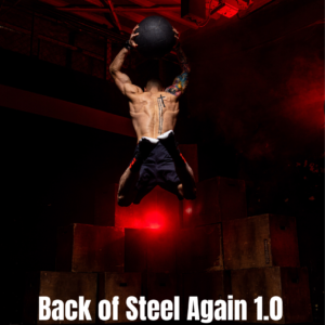 Back of Steel Again 1.0